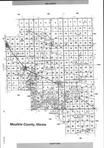 Index Map, Moultrie County 2003